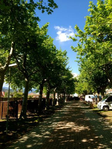 Camping Vallecrosia