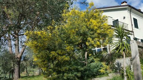 Bed & Breakfast I Lauri