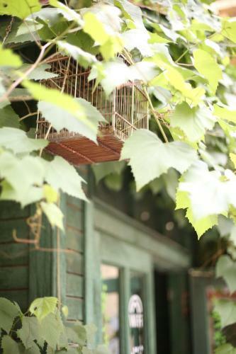 Harbin Kazy Int'l Youth Hostel
