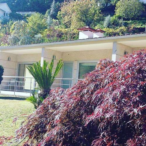 Apartamento Casinhas Do Ger�s