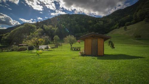 Apartment In Concei/ledrosee 22709