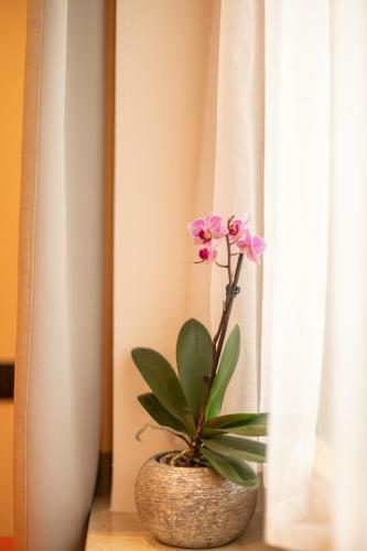 Apartamento Piz Da Cir