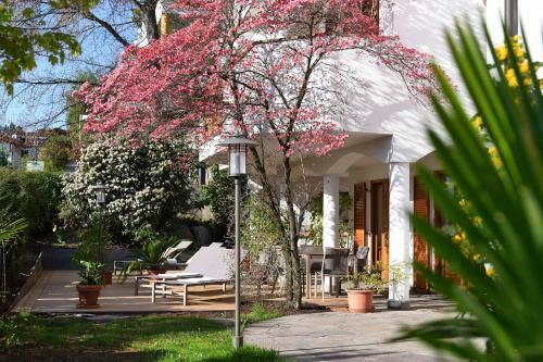 Apartamento Chalet Schlossblick