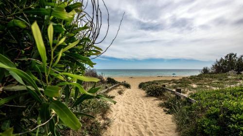 Morello Beach Hotel