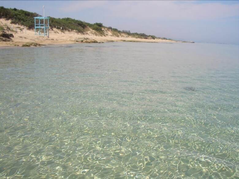 Hotel Viar Beach Club