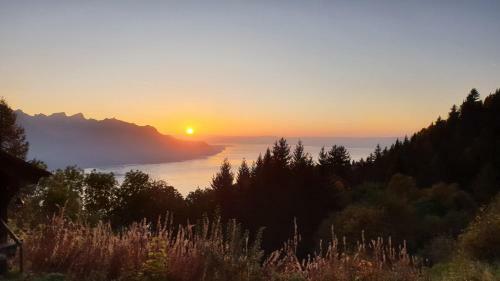 Bed & Breakfast Bnb Belalp