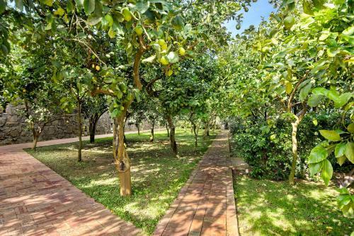 Antica Limonaia - Beautiful Mediterranean Villa