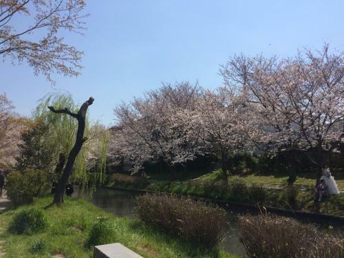 Agroturismo Suzume-an