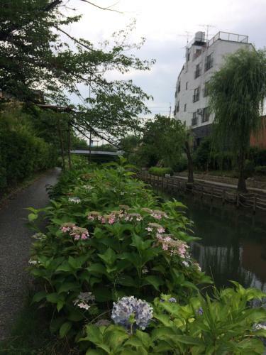 Agroturismo Suzume-an