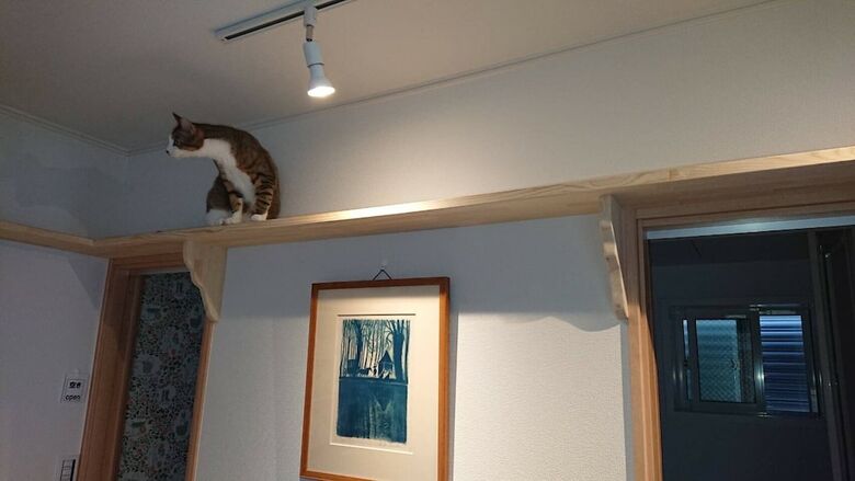 Hostal Guesthouse Gifu Suai