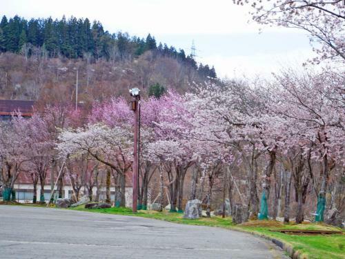 Hotel New Greenpia Tsunan
