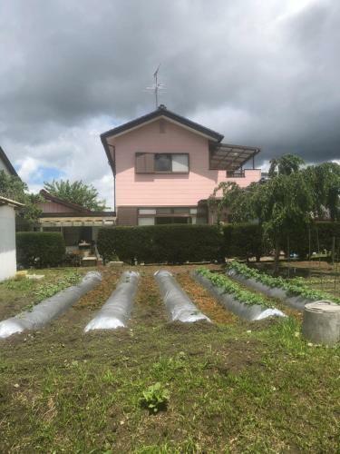 Hostal Minshuku Tomato House