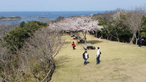 Midori Guesthouse&hostel