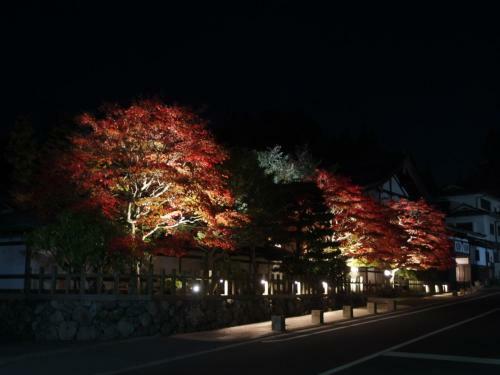 Hostal Koyasan Shukubo Sainanin