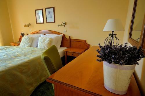 Hotel Penzion Tematin