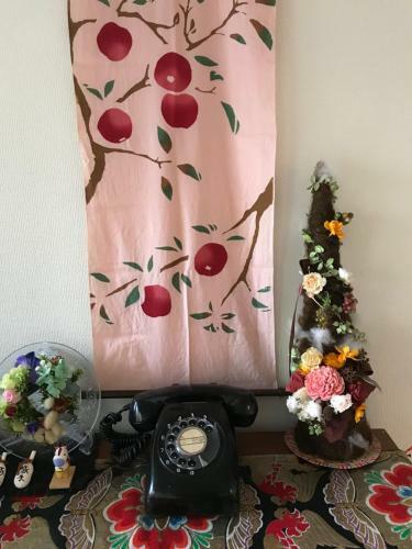 Hostal Buchouho No Yado 202