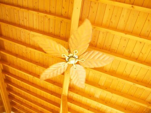 Hostal Keiki Beachhouse & Cafe
