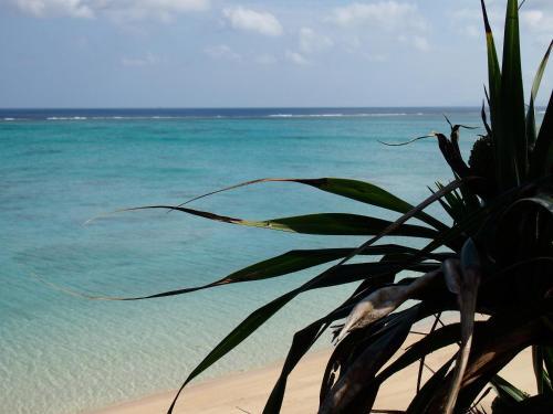 Hostal Keiki Beachhouse & Cafe