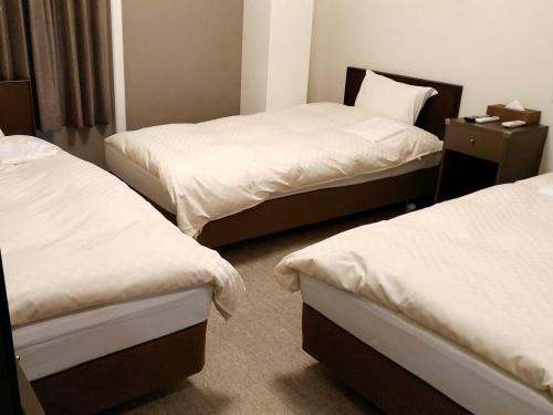 Hotel Okiny