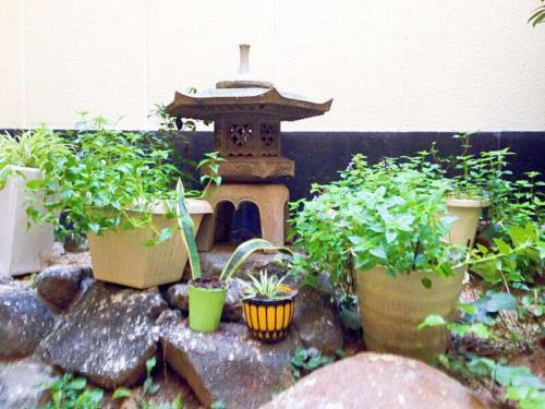 Hostal Osaka Nakayama Guesthouse