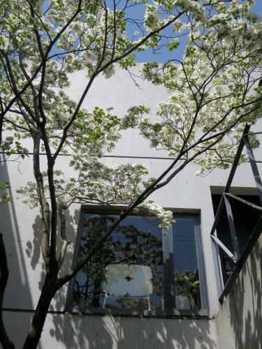 B&B Ah87 Osaka