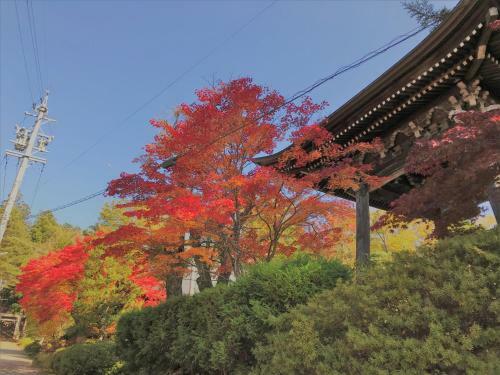 Hostal Guesthouse Daruma