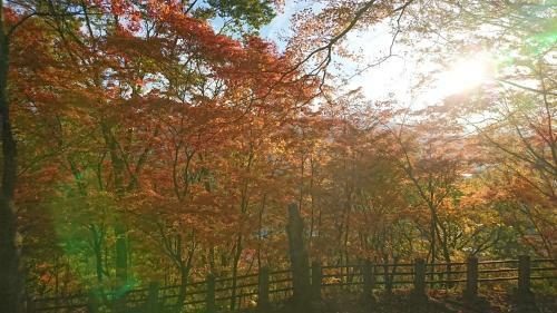 Hostal Hida Takayama Relax Hostel Bettei Fuji
