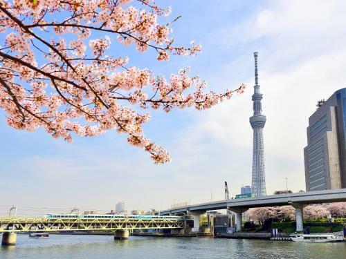 Hotel Wing International Select Ueno Okachimachi