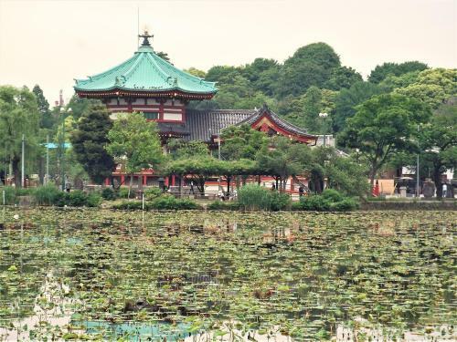 Hotel Wing International Select Ueno Okachimachi