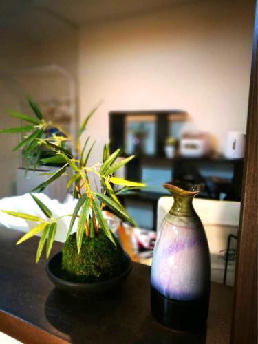 Apartamento Shinjuku Luxury Three Floor House