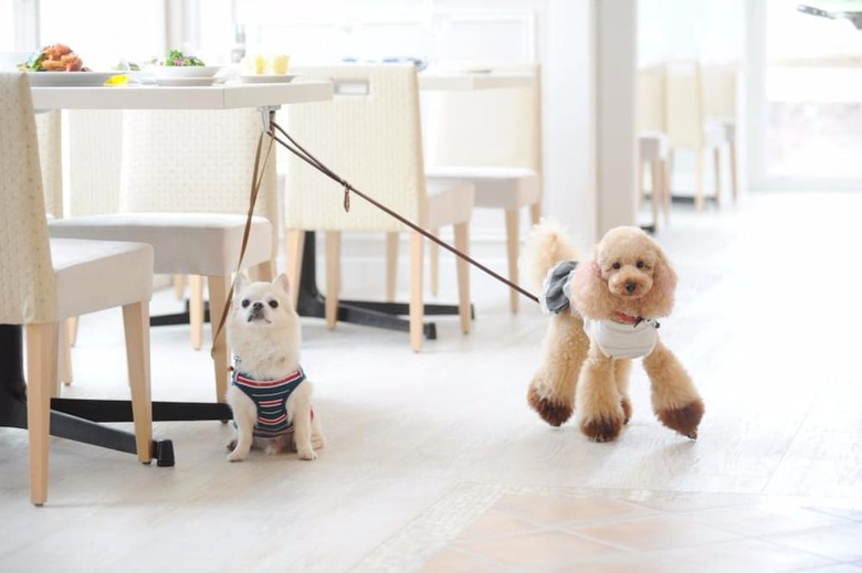 Villa Koyaru-no-sato Doggys Island