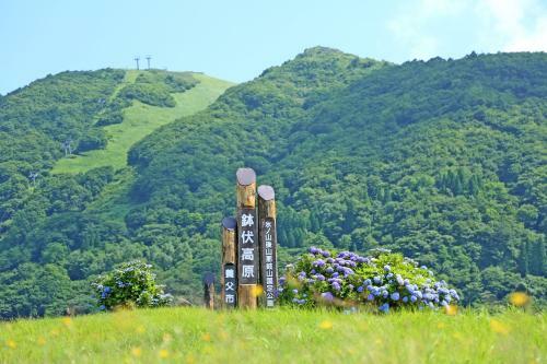 Hachikogen Furusato Asagiriso