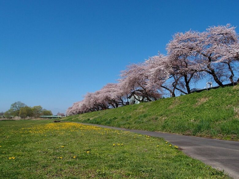 Yamayuri No Yado
