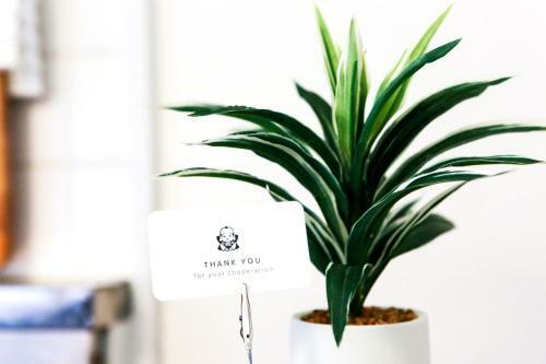 Apartamento Paraiso Inn