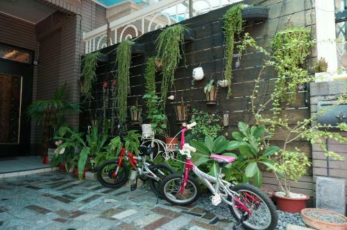 Bed & Breakfast Travel Moment