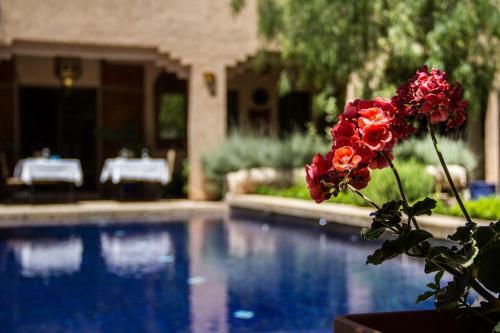 Bed & Breakfast Ksar Tama Lodge