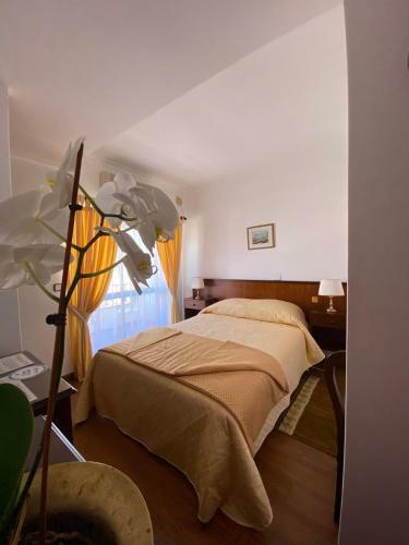 Bed & Breakfast Guest House Toca Dos Grilos