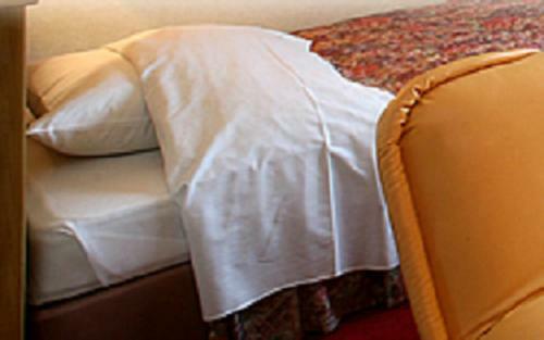 Business Green Hotel Yokaichi