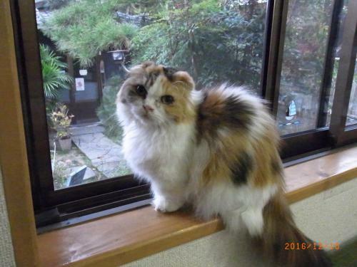 Bed & Breakfast Oyajino Umi