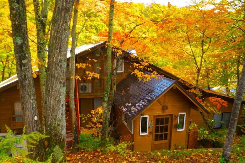 Hostal Pension Buddy