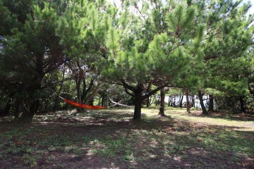 Agroturismo Cottage Tingara