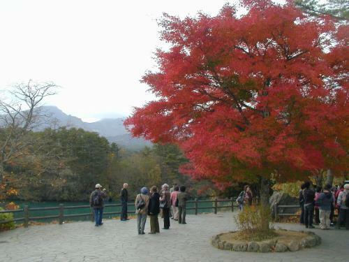 Hostal Pension Hana Kirin
