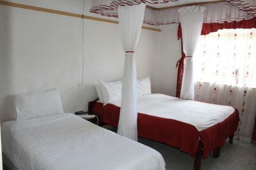 Bed & Breakfast Salient Guest House