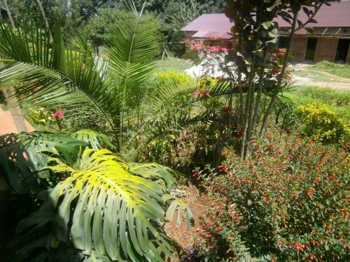 Hostal Africana Yard
