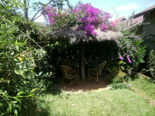 Hostal Africana Yard
