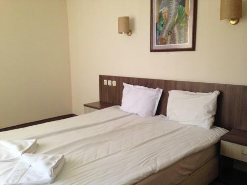 Hotel Laguna