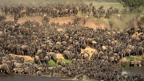 Lodge Mara Big Five Camp