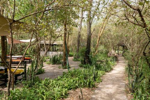 Aruba Mara Camp & Safaris