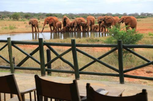 Voi Wildlife Lodge