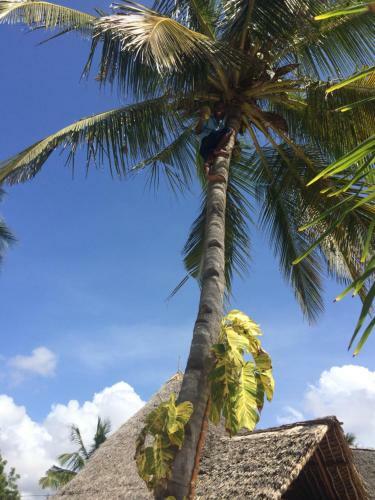 Hotel On-the-beach Backpackers